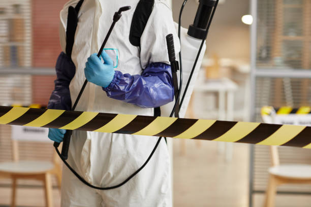 Professional Sewage Cleanup technician working in Litchfield, NH